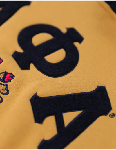Alpha Phi Alpha Two Tone Hoodie